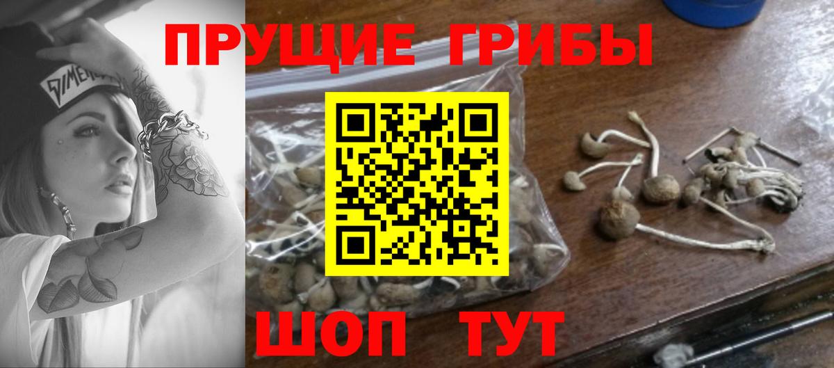 Галлюциногенные грибы мицелий Гулькевичи